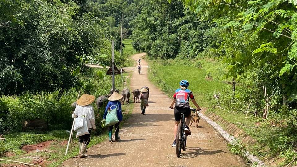 Northern Vietnam Cycle Trip 7 Days